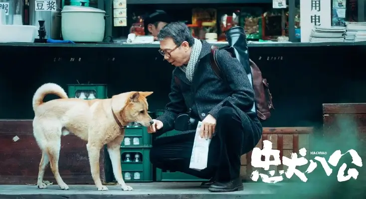 莲花楼国外地区限制怎么看